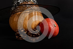 Still life. Pumpkins in wizard's hat and pine cones on black background with copy ad space. Halloween trick and