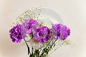 Still life of purple and white flowers