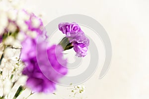 Still life of purple and white flowers in  style of  painting