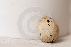 Still life. Quail egg on a textured background. Rustic. Easter celebration concept