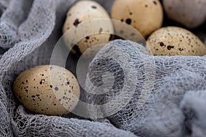 Still life. Quail eggs decorated with dry herbs and colored runner on a textured background. Rustic. Easter celebration concept