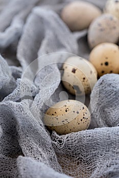 Still life. Quail eggs decorated with dry herbs and colored runner on a textured background. Rustic. Easter celebration concept