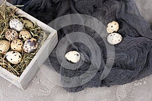 Still life of quail eggs decorated in herbs. Rustic. Easter celebration concept