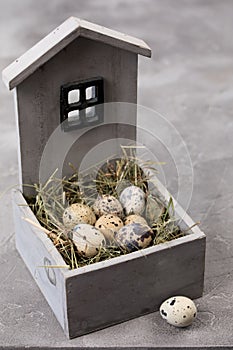 Still life of quail eggs decorated in a wooden house. Rustic. Easter celebration concept