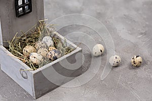 Still life of quail eggs decorated in a wooden house. Rustic. Easter celebration concept