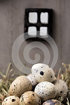 Still life of quail eggs decorated in a wooden house. Rustic. Easter celebration concept