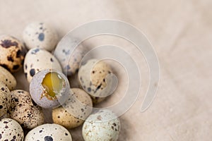 Still life. Quail eggs on a textile napkin. Rustic. Easter celebration concept