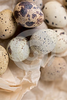 Still life. Quail eggs on a textured background. Rustic. Easter celebration concept