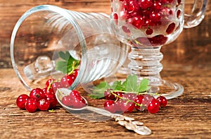 Still life with red currants in glass