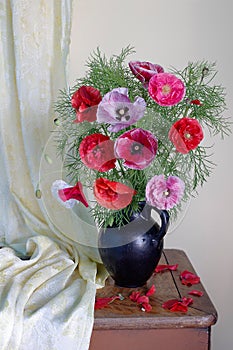 Still life with red flowering poppies in a vase with water on a wooden table on a green background