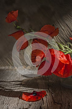 Still life with red poppies on a wooden old background. Vertical orientation. Low key