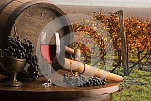 Still life with red wine and wood barrel