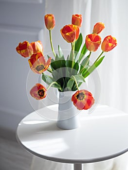 Still life with red yellow tulips