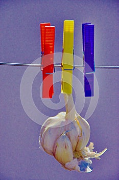Still life with the Republican flag as base 2 photo
