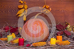 Still life with ripen pumpkin, apple, corn, dry grass autumn leaves and candle