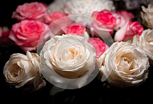 Still life of rose bouquet flower. Beautiful fresh pink roses. Rose Posy Wedding Bouquet. heap of pink and white fresh roses.