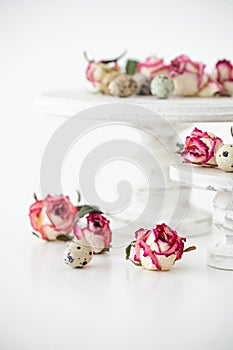 Still life with roses. Quail eggs on a wooden stand. Rustic. Easter celebration concept