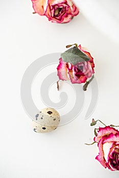 Still life with roses. Quail eggs on a wooden stand. Rustic. Easter celebration concept