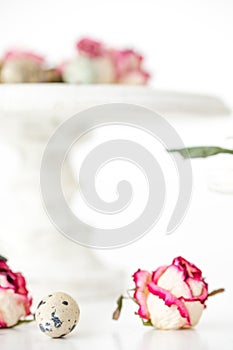 Still life with roses. Quail eggs on a wooden stand. Rustic. Easter celebration concept