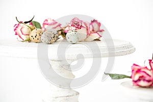 Still life with roses. Quail eggs on a wooden stand. Rustic. Easter celebration concept