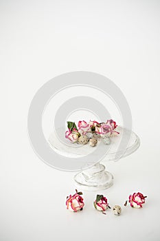 Still life with roses. Quail eggs on a wooden stand. Rustic. Easter celebration concept