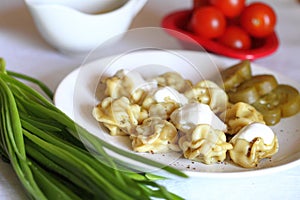 Still life: Russian pelmeni