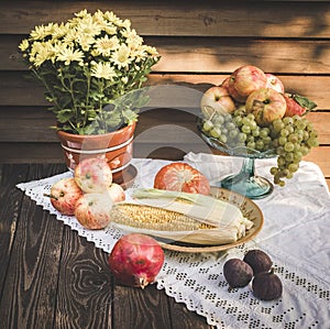 Still life in rustic style with apples, pumpkin and corn, pomegranate and figs on a white tablecloth with lace and yellow chrysant