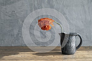 Still life in a rustic style with old crock and red poppies