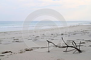 Still Life on A Sandy Seashore - Infinite Peace at Uncrowded Beach photo