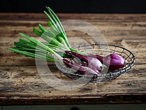 Still Life with Scallions