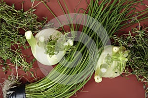 Still life of seasoning herbs.