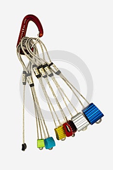 Still life of a set of nuts