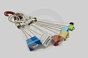 Still life of a set of nuts