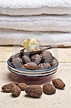 Still life of Shea nuts