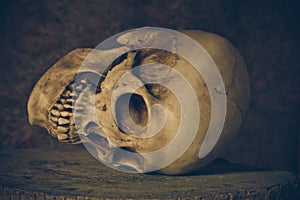 Still Life with a Skull.