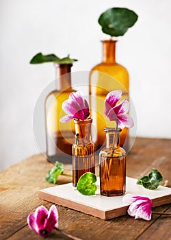 Still life with small bouquet of purple cyclamen flowers in brown pharmacy glass bottles.
