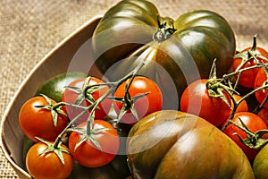 Still life of stupendous ripe sweet marmalade tomatoes along with bunches of cherry tomatoes in a wooden basket on brown burlap