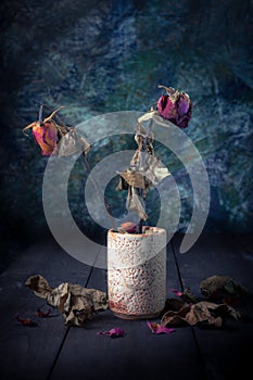 Still life style of dry rose
