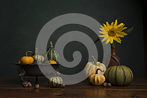 Still life with a sunflower, pumkins and a fruit bowl in a classical fine art image