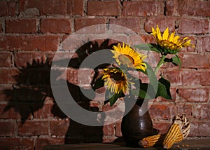 Still life with sunflowers and dry harvested corn