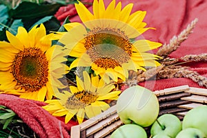 Still life sunflowers and green apples in a basket.