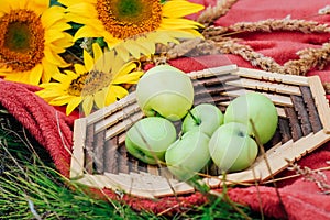 Still life sunflowers and green apples in a basket.