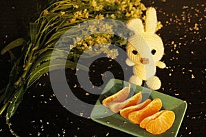 Still life: tangerines, flowers and knitted white rabbit