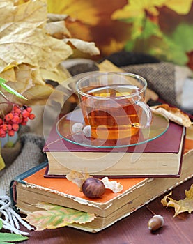 Still life with tea, books and leaves in autumn