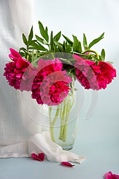 Still life of three pionies bouquet in vase on white background photo