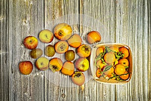 Still life top view of winter fruits with pomegranates, persimmons, tangerines,