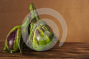 Still life of typical Almagro aubergines without maceration