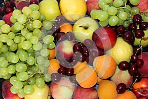 Still life of variety of fruits and berries