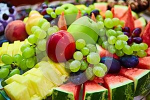 Still life - various, assorted fruits.