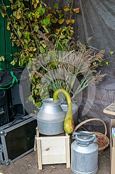 still life with various autumn accessories, metal dishes of various shapes, autumn weekend concept